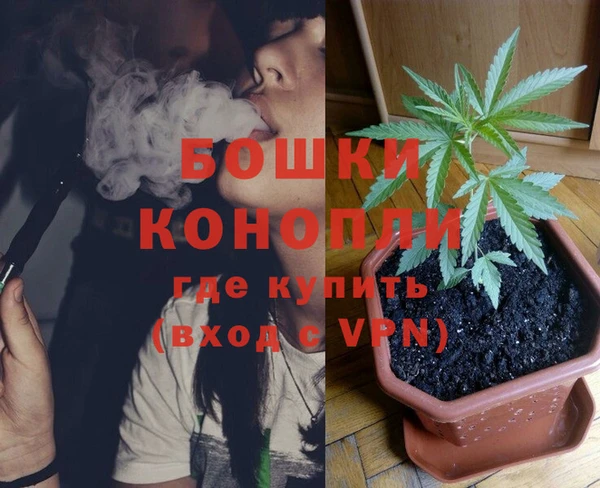 сатива Вязники
