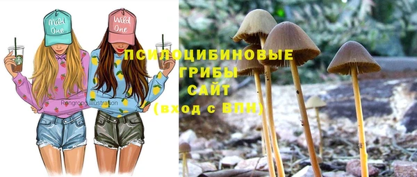 сатива Вязники