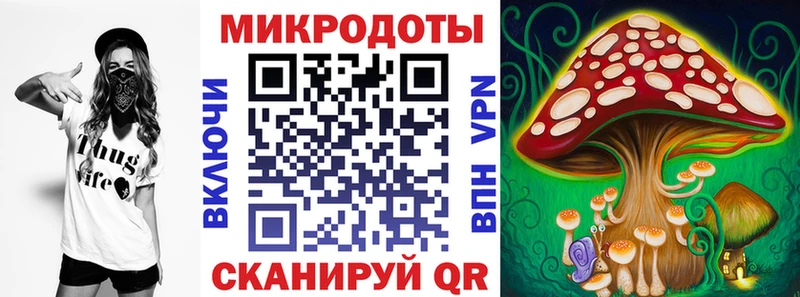 Псилоцибиновые грибы GOLDEN TEACHER  Купить где  Михайлов 
